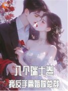 林晓旭顾南洵小说八个瑞士卷，我反手离婚嫁总裁完整章节