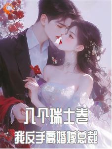 林晓旭顾南洵小说八个瑞士卷，我反手离婚嫁总裁完整章节