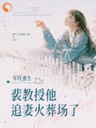 年代重生：斐教授他追妻火葬场了(苏未晚斐宴)全文章节在线阅读