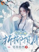 综影视：折柳揽月精彩小说-综影视：折柳揽月目录阅读