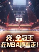 梅雨天的回南天写的小说《我，全冠王，在NBA横着走！》罗轩易建联全文阅读