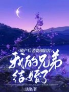 《破产后，老婆和陷害我的兄弟结婚了》小说免费阅读 柳如烟何铮张华大结局