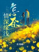 庄晓晓林时叙小说结局