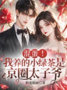 混蛋！我养的小绿茶是京圈太子爷免费阅读全文，主角沈南乔陆战北小说完整版