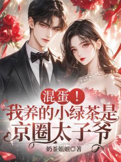 混蛋！我养的小绿茶是京圈太子爷免费阅读全文，主角沈南乔陆战北小说完整版