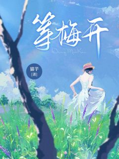 全章节小说等梅开猫芋最新阅读