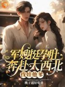 无弹窗小说军嫂挺孕肚奔赴大西北，找娃他爹 作者桃子超好吃