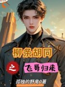《柳条胡同之飞哥归来》叶飞张天明无广告在线阅读