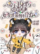 抖音小梨子傅司靳小说叫什么名字