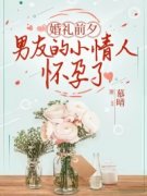 《婚礼前夕，男友的小情人怀孕了南栀顾北尘》小说在线，南栀顾北尘章节大结