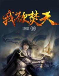 古风秦灵小说全文免费阅读我欲焚天全文免费阅读
