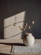 抖音小说《亲戚相处法则》主角柒柒林钦华全文小说免费阅读