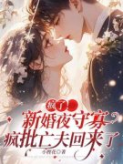 书荒必备《疯了！新婚夜守寡，疯批亡夫回来了》全文章节阅读