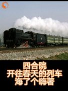 [抖音]小说何雨柱何雨水四合院之一开往春天的列车