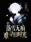 求落雪无痕，难寻旧时光小说免费资源