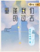 陈甘霖小诺小说<重逢我们的过去>全文在线阅读