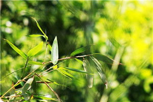 年华秘密:对错计划小说全文免费阅读(叶轩童佳)全文免费叶轩童佳读无弹窗大结